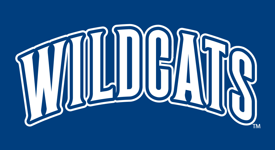 Villanova Wildcats 1996-Pres Wordmark Logo t shirts DIY iron ons v2